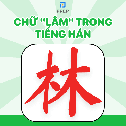 Lâm Trung Là Gì?