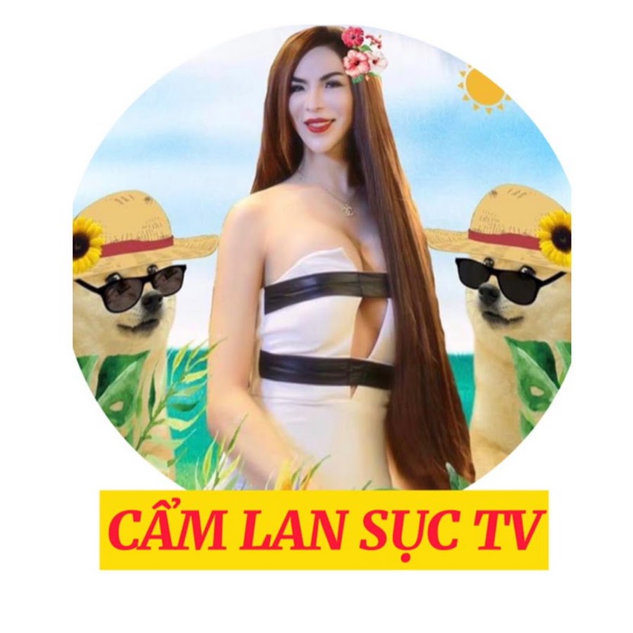 Lan Cầm Sục: Loài Lan Quý Hiếm Với Vẻ Đẹp Độc Đáo