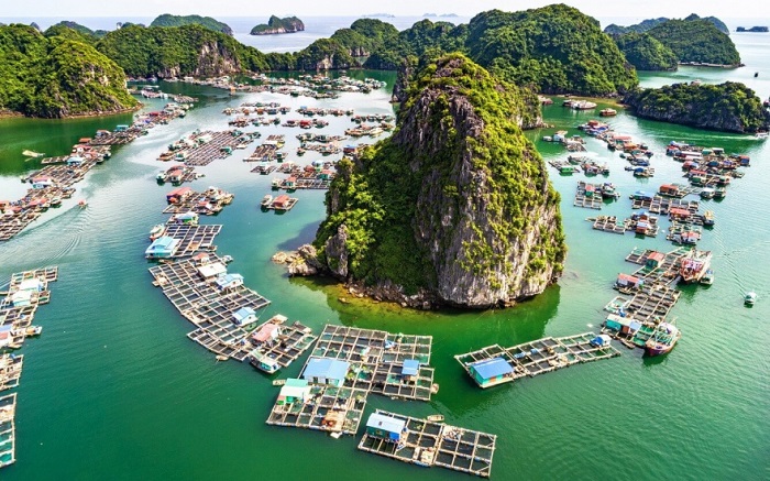 Làng chài Cái Bèo