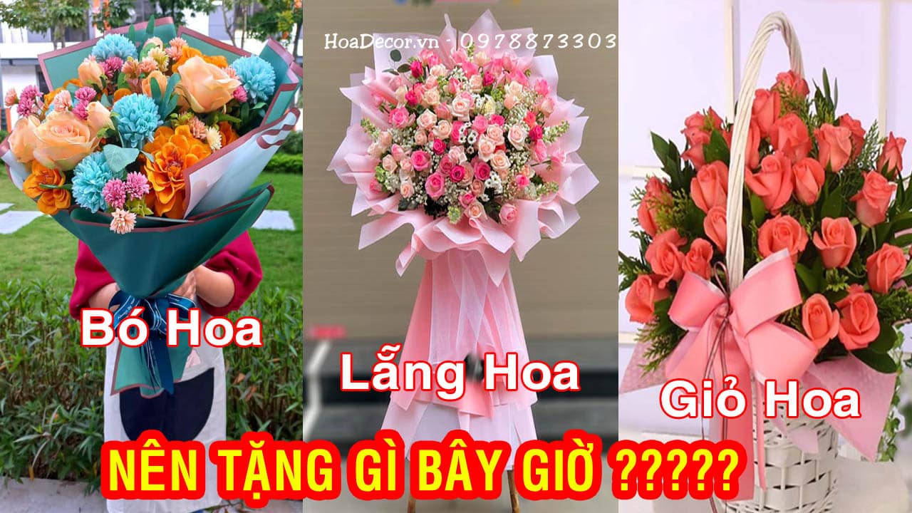 Lẵng Hoa Là Gì?