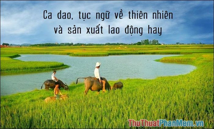 Tục Ngữ Về Thiên Nhiên Và Lao Động Sản Xuất: Những Bài Học Quý Giá Từ Ông Bà Ta Gallery 2
