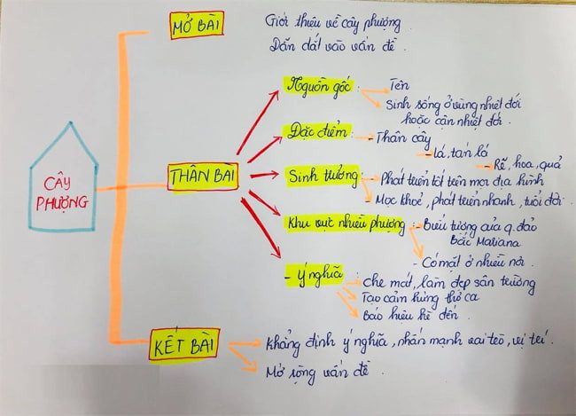 Lập Dàn Ý Về Cây Phượng Lớp 4