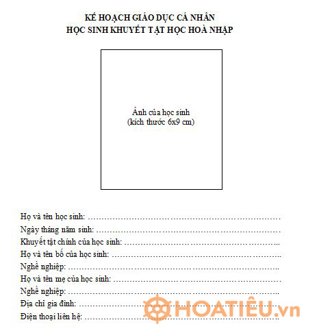 Lập Kế Hoạch Cá Nhân Cho Trẻ Khuyết Tật Ngôn Ngữ Gallery 2