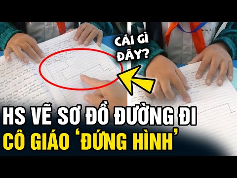 Con Đường Từ Nhà Đến Trường Gallery 1