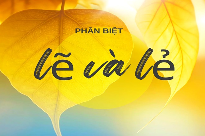 Lẽ Phải Hay Lẽ Phải?