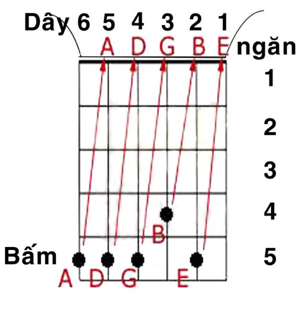 Hướng dẫn học đàn Guitar Gallery 2