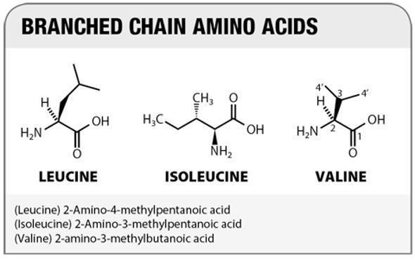 5 Amino Axit Quan Trọng Cho Sức Khỏe Gallery 2