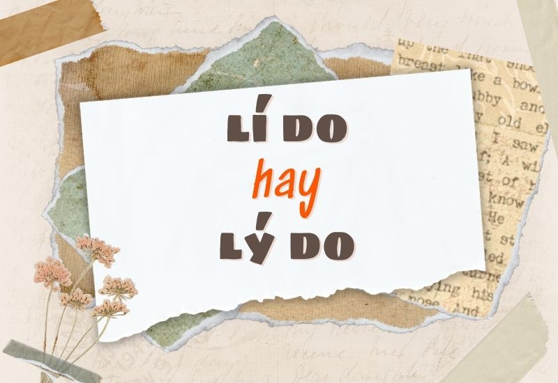 Lý do hay lý do?