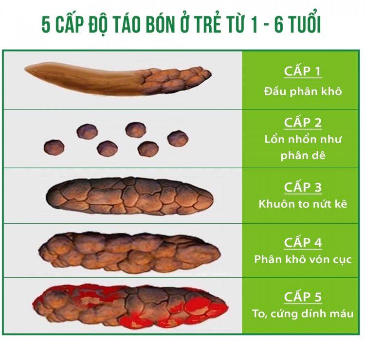 Nguyên Nhân Gây Táo Bón Gallery 2