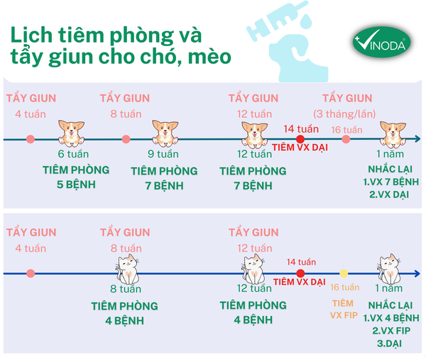 Sổ giun cho chó khi nào? Gallery 1