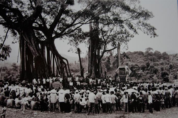 Cây Đa Tân Trào Ở Đâu? Gallery 1