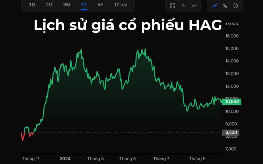 Lịch sử giá cổ phiếu HAG