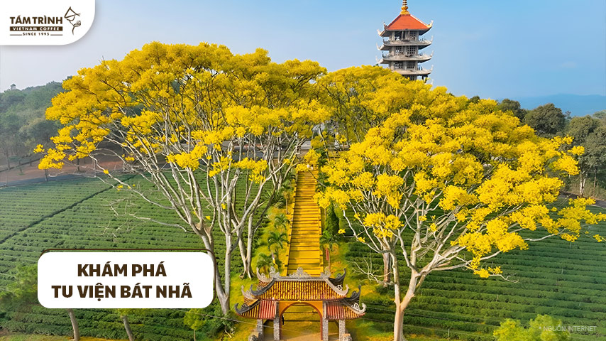 Sự Thật Về Tu Viện Bát Nhã Bảo Lộc Gallery 1