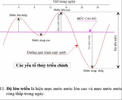 Thủy Triều Nhật Bản Gallery 1