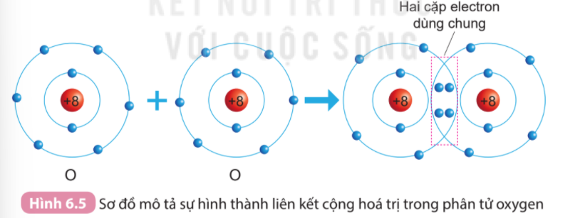 Liên kết cộng hóa trị có cực tạo thành giữa hai nguyên tử như thế nào? Gallery 2