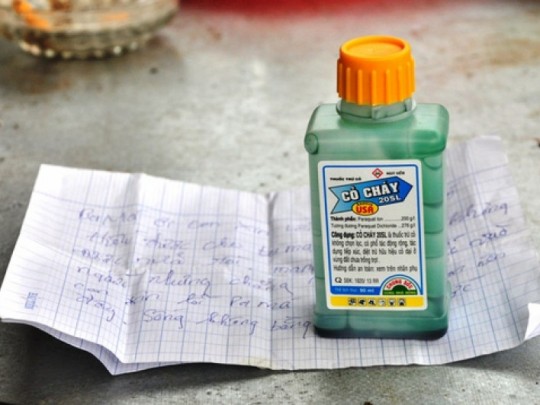 Liều gây chết của thuốc diệt cỏ