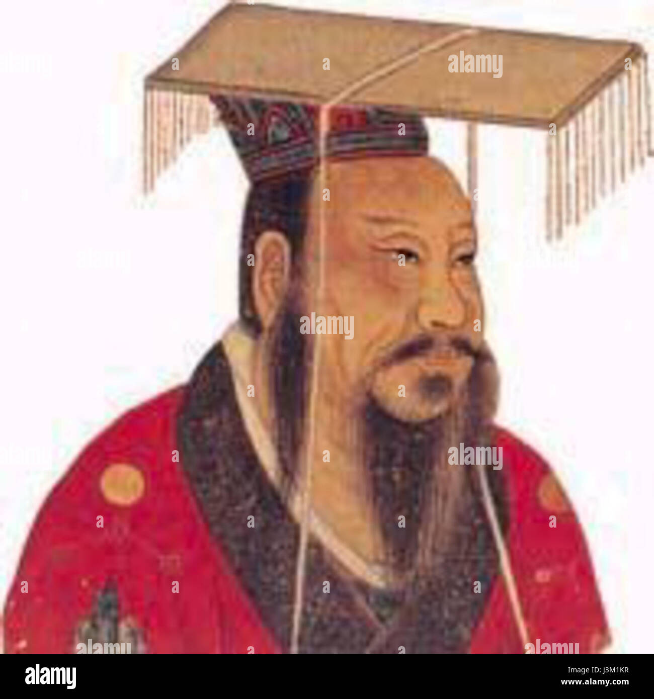 Liễu Xù Là Gì? Gallery 1