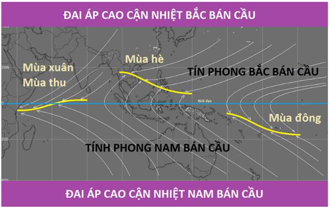 Loại gió thổi quanh năm ở nước ta là gì?