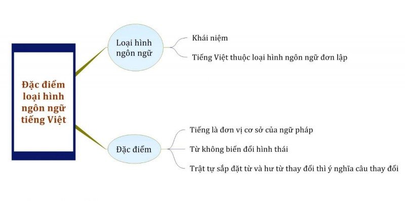 Loại hình là gì?