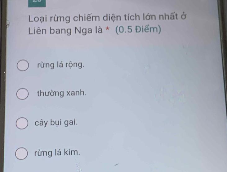 Loại rừng chiếm diện tích chủ yếu ở Liên Bang Nga là gì? Gallery 2
