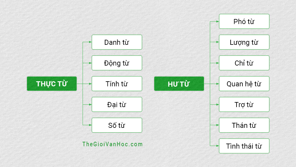 Loại Từ Trong Tiếng Việt