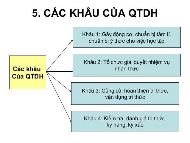 Logic của Quá Trình Dạy Học