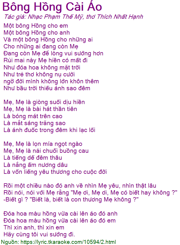 Lời Bài Hát Bông Hồng Cài Áo