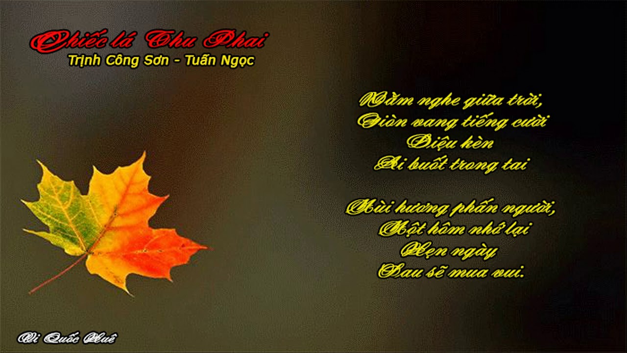 Lời Bài Hát Chiếc Lá Thu Phai Gallery 1
