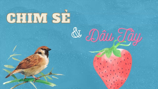 Lời Bài Hát Chim Sẻ Và Dâu Tây Gallery 2