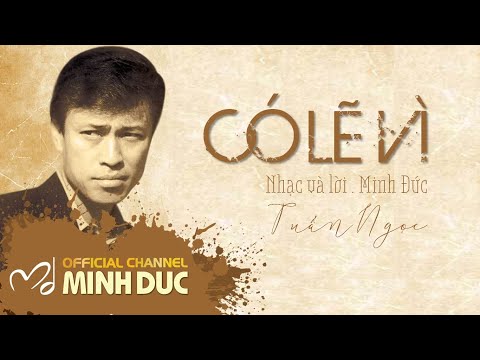 Có Lẽ Vì - Lời Bài Hát Và Giải Thích Gallery 1