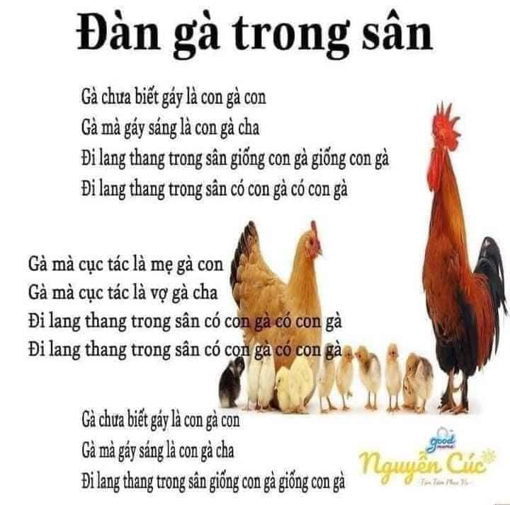 Lời Bài Hát Đàn Gà Trong Sân Gallery 2