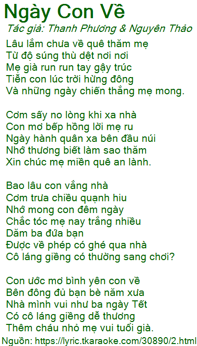 Lâu lắm chưa về quê thăm mẹ