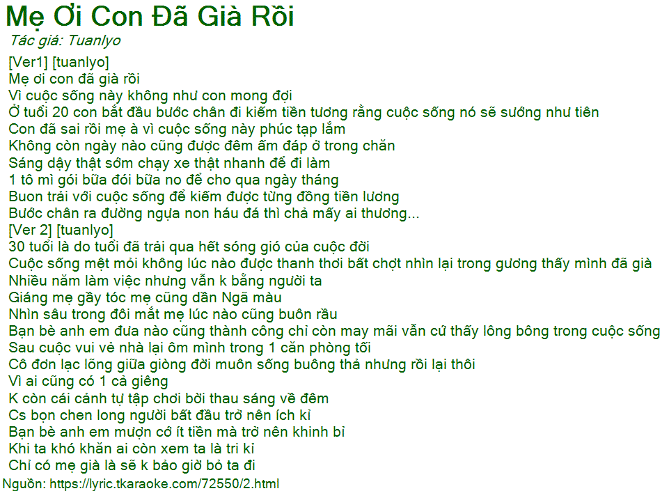Mẹ ơi con đã già rồi lời bài hát Gallery 1
