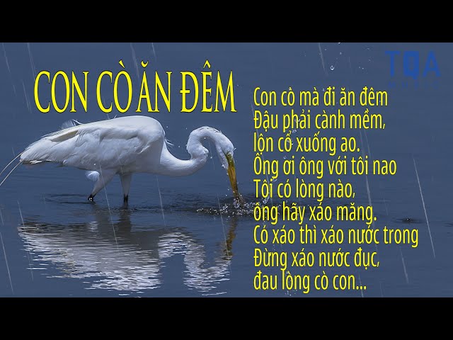 Lời Bài Hát Ru Con Ngủ Bắc Bộ