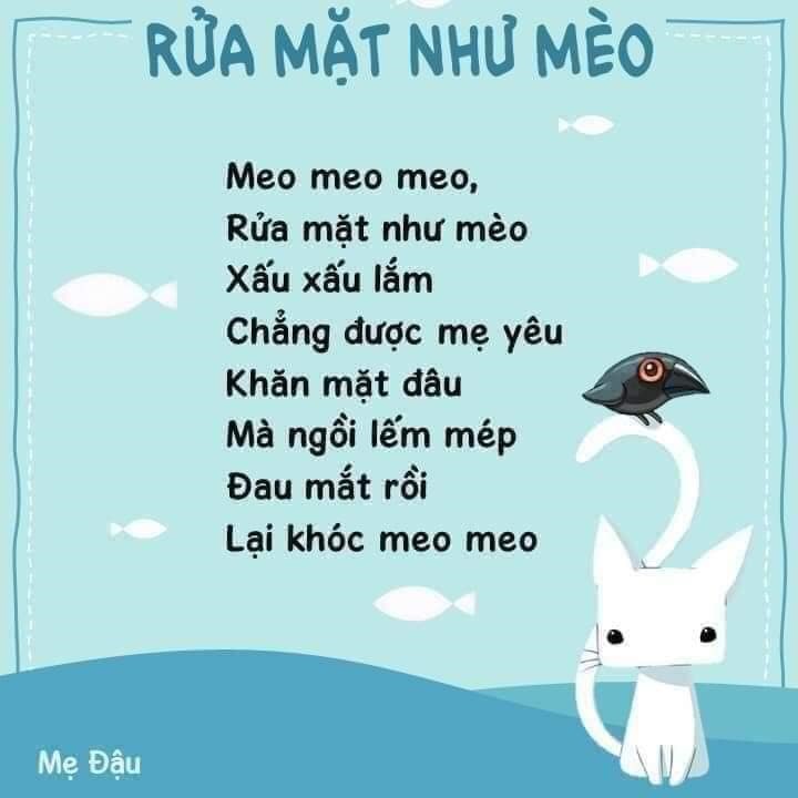 Lời Bài Hát Rửa Mặt Như Mèo Gallery 1