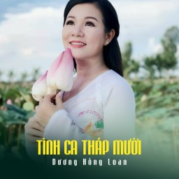 Lời Bài Hát Tình Em Tháp Mười Gallery 2