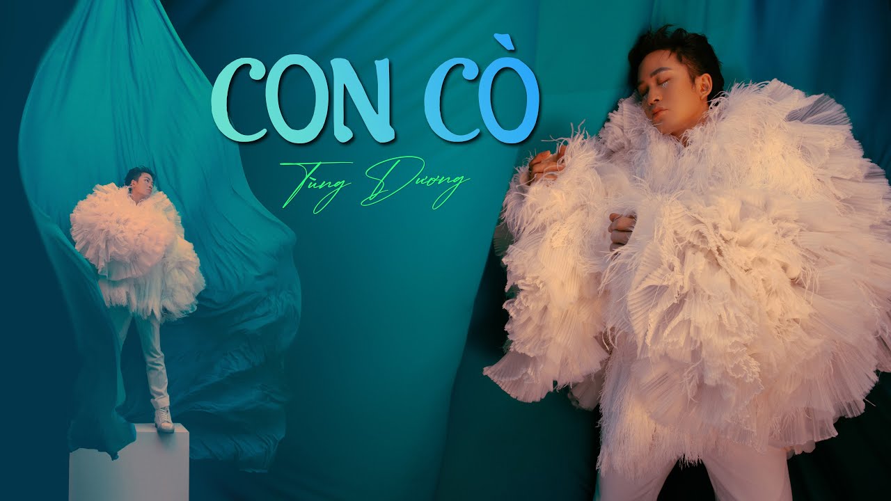 Lời Bài Hát Tùng Dương Con Cò Gallery 1