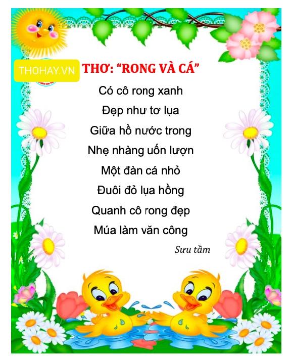 Lời Bài Thơ Rong Và Cá
