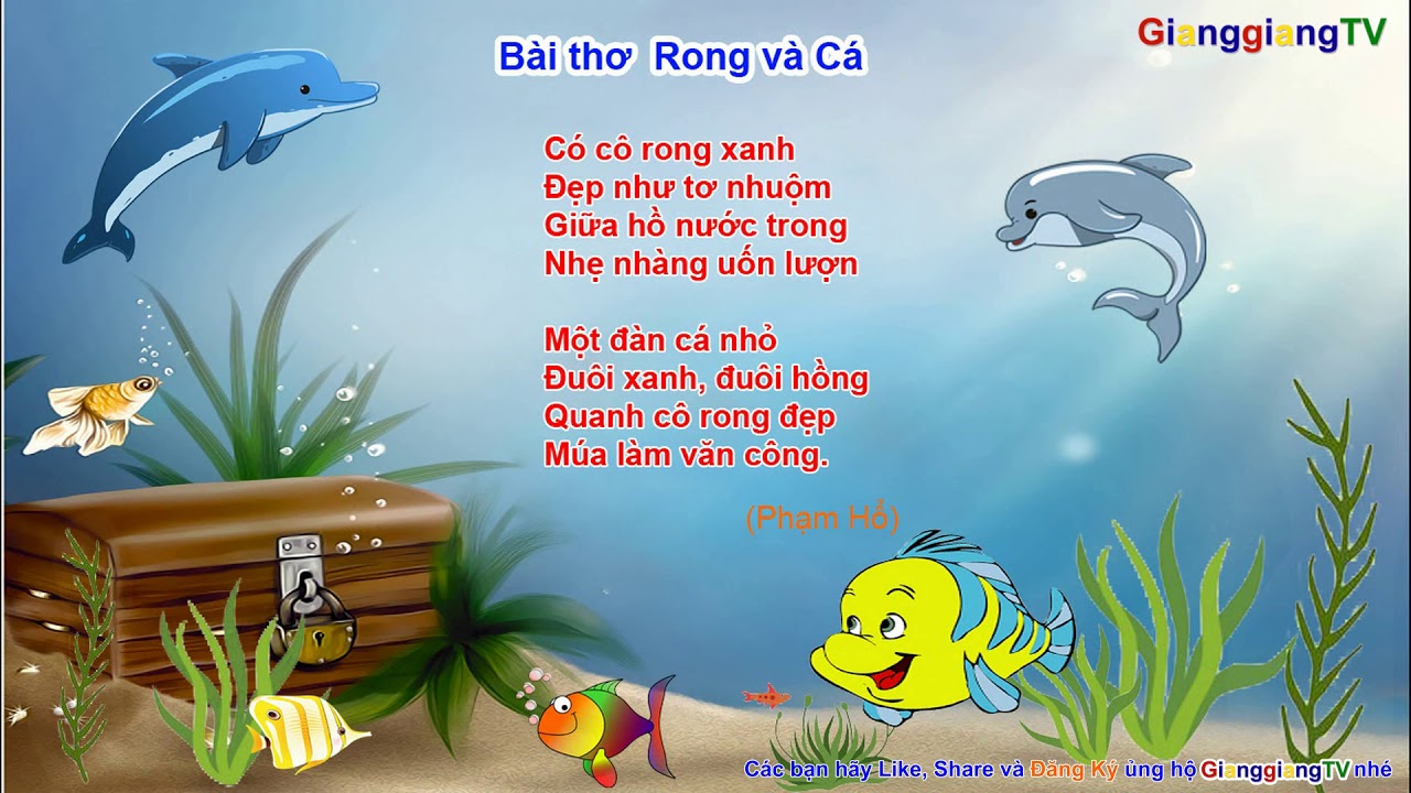 Lời Bài Thơ Rong Và Cá Gallery 1