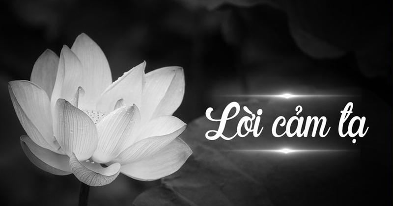 Lời Cảm Tạ Ngắn Gọn Nhất Gallery 2