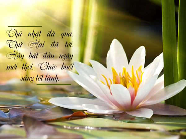Lời Chào Đầu Tuần Hay và Ý Nghĩa