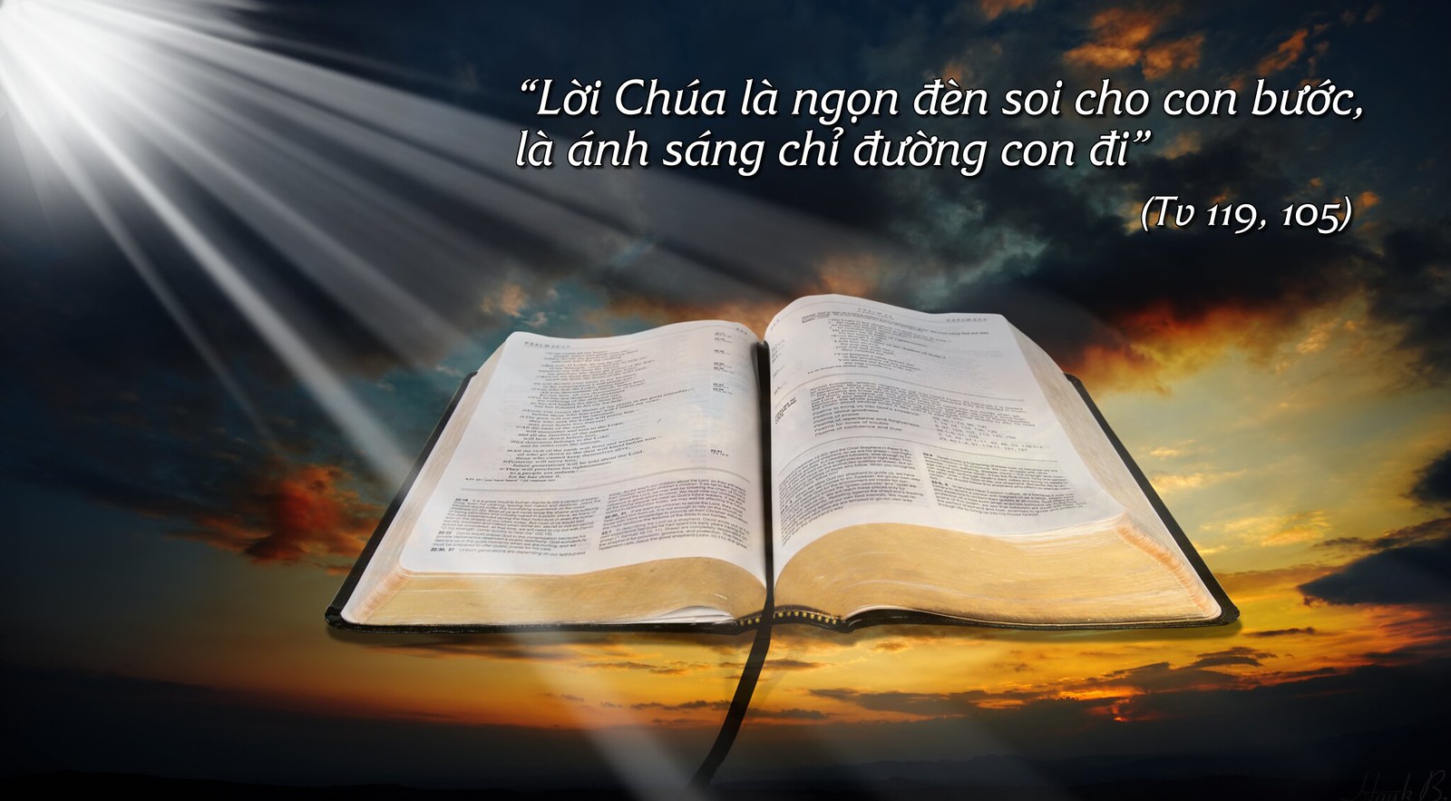 Lời Chúa Là Ngọn Đèn Soi Cho Con Bước Gallery 2