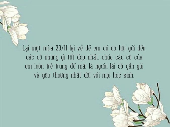 Lời Chúc 20/11 Hay và Ý Nghĩa Nhất Dành Cho Cô Chủ Nhiệm