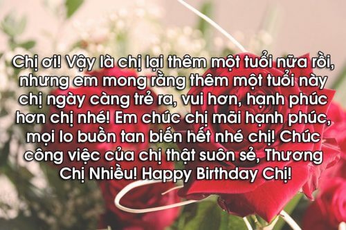 Những Lời Chúc Sinh Nhật Hay Cho Chị Gái Gallery 2