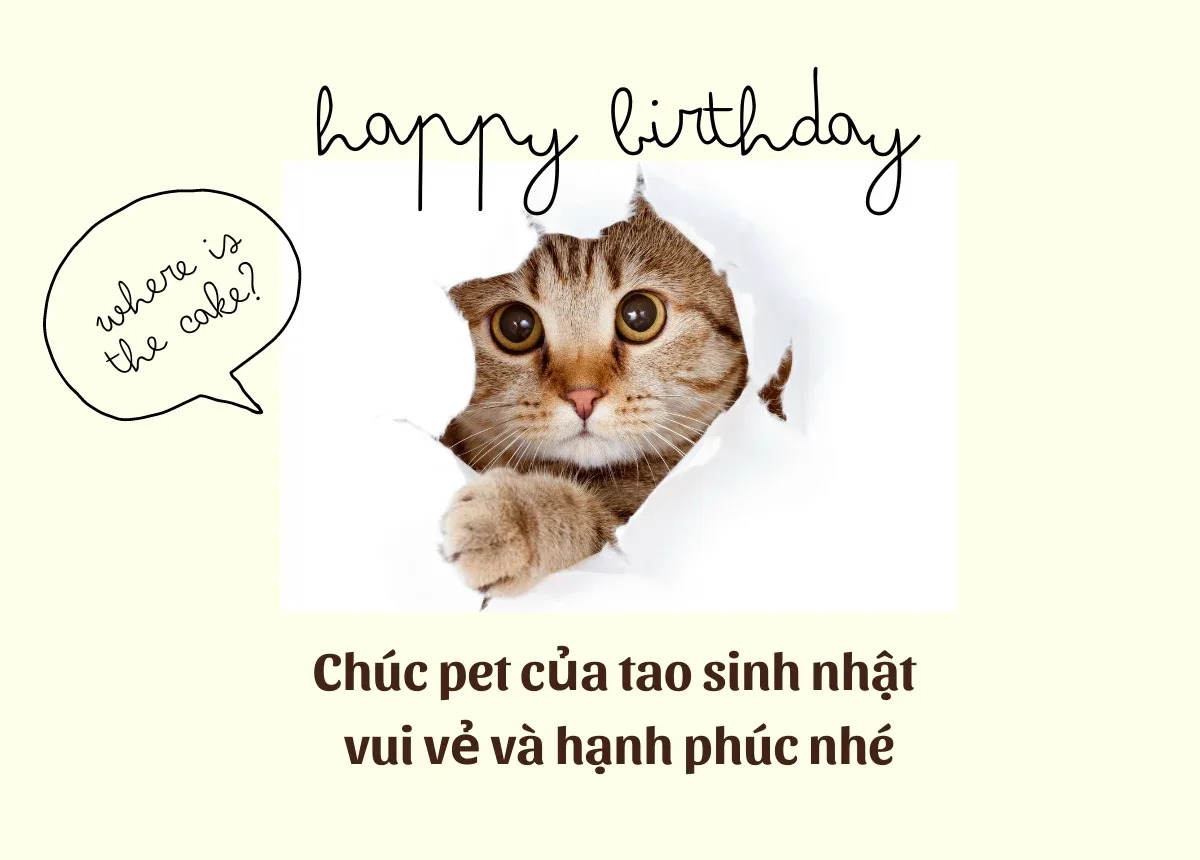 Lời Chúc Sinh Nhật Hài Hước Ngắn Gọn