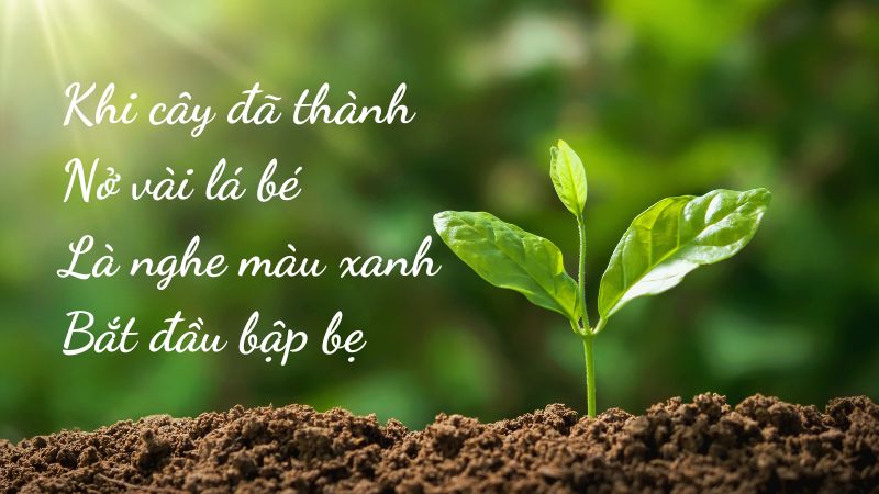 Lời của cây Trần Hữu Thung