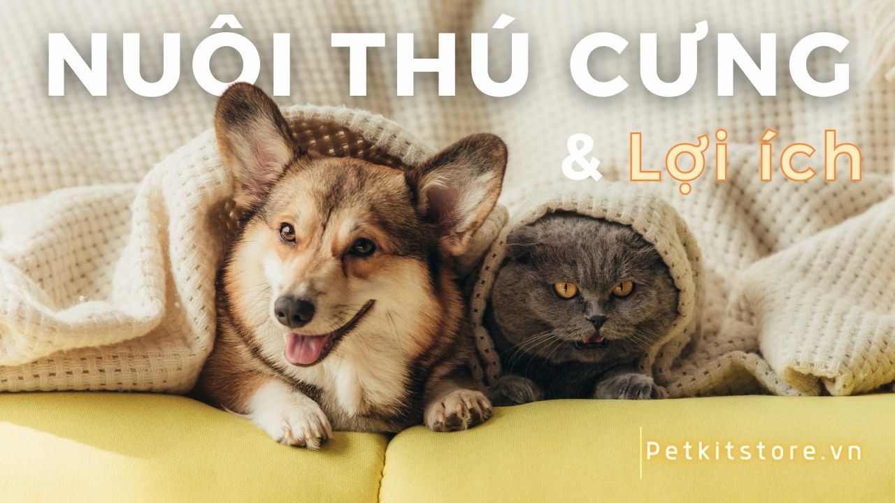Lợi ích tuyệt vời khi nuôi thú cưng Gallery 1