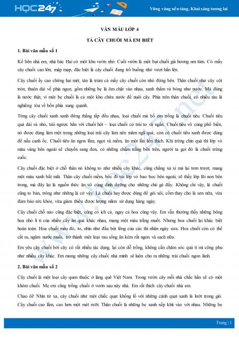 Miêu tả cây chuối lớp 4 Gallery 2