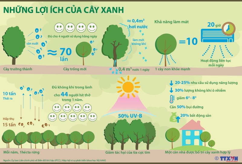 Em Yêu Cây Xanh Gallery 1