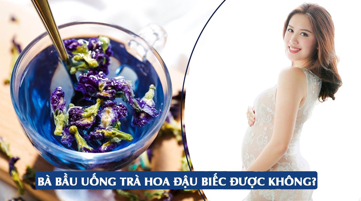 Bầu uống hoa đậu biếc được không? Gallery 1